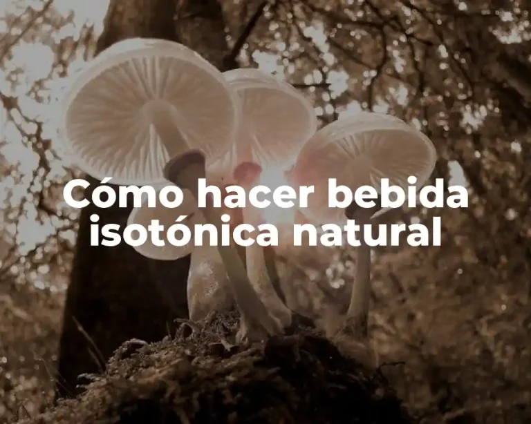 Cómo hacer bebida isotónica natural