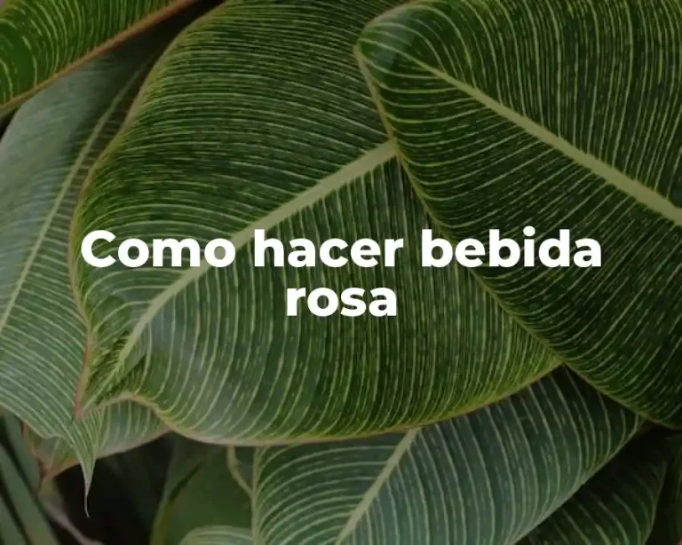 Como hacer bebida rosa