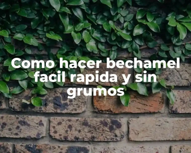 Como hacer bechamel facil rapida y sin grumos