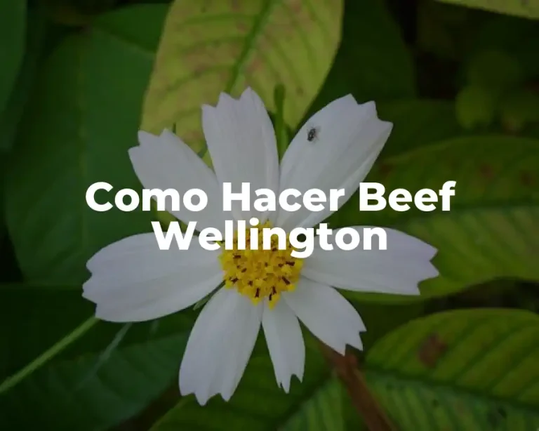 Como Hacer Beef Wellington