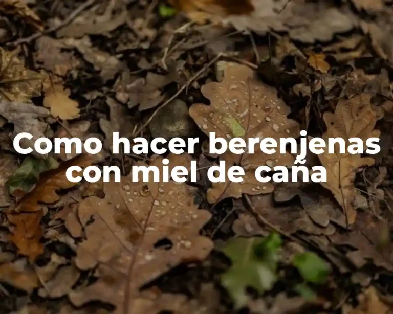 Como hacer berenjenas con miel de caña