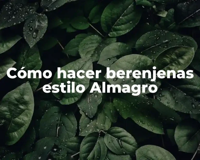 Cómo hacer berenjenas estilo Almagro