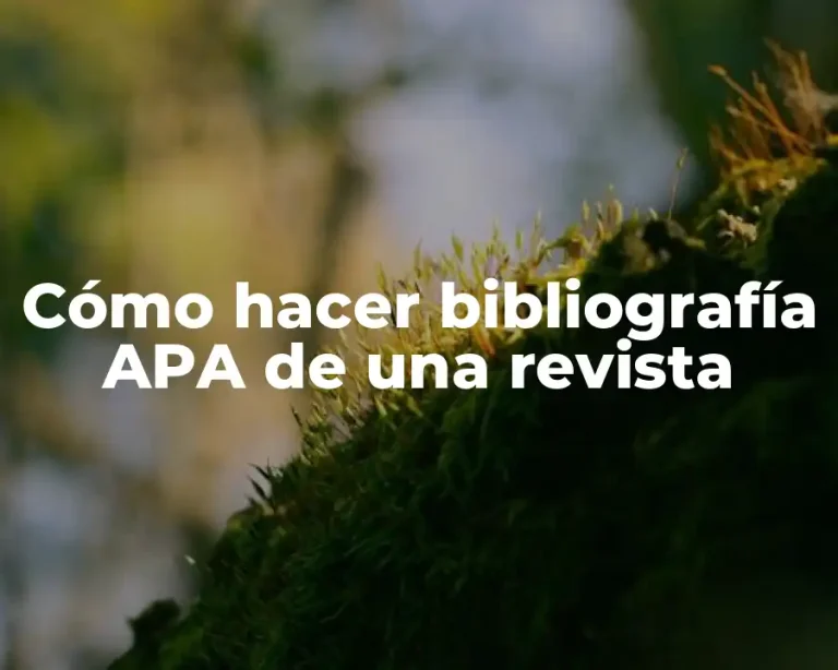 Cómo hacer bibliografía APA de una revista