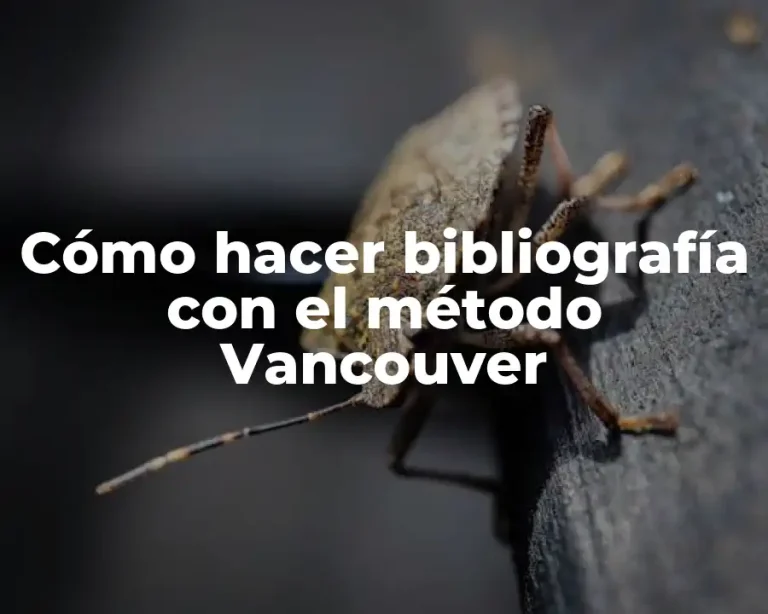 Cómo hacer bibliografía con el método Vancouver