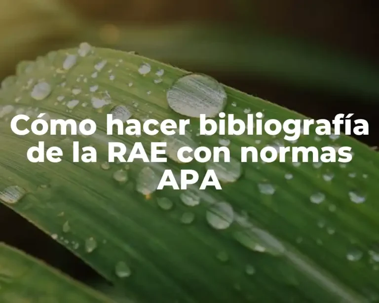 Cómo hacer bibliografía de la RAE con normas APA