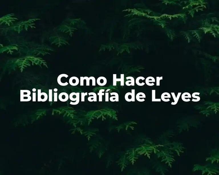 Como Hacer Bibliografía de Leyes