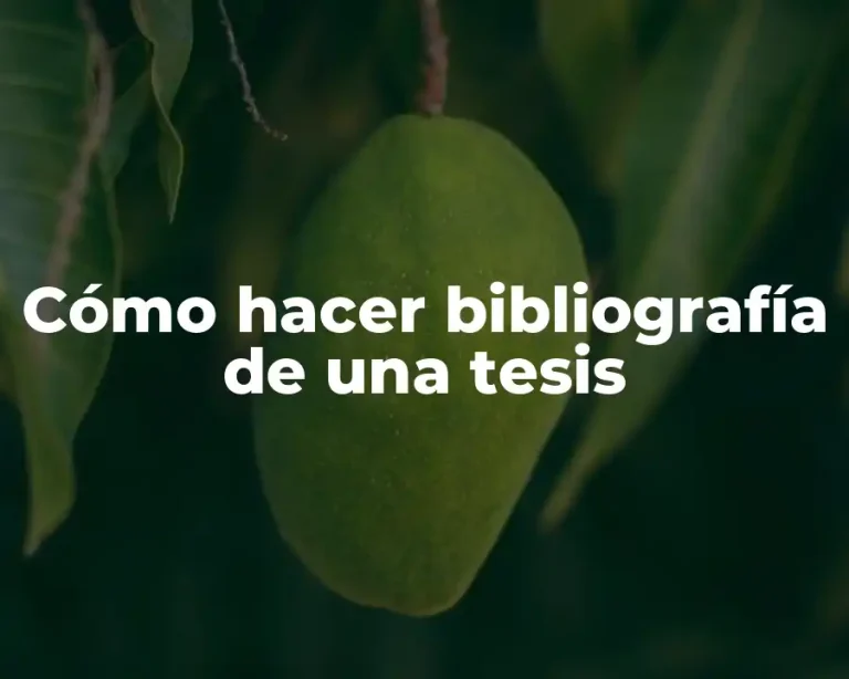 Cómo hacer bibliografía de una tesis