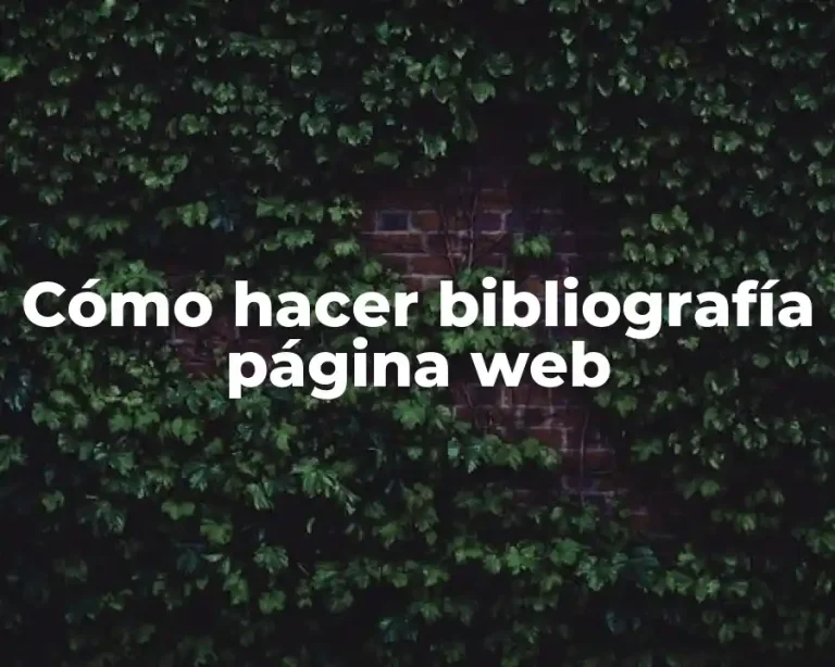 Cómo hacer bibliografía página web