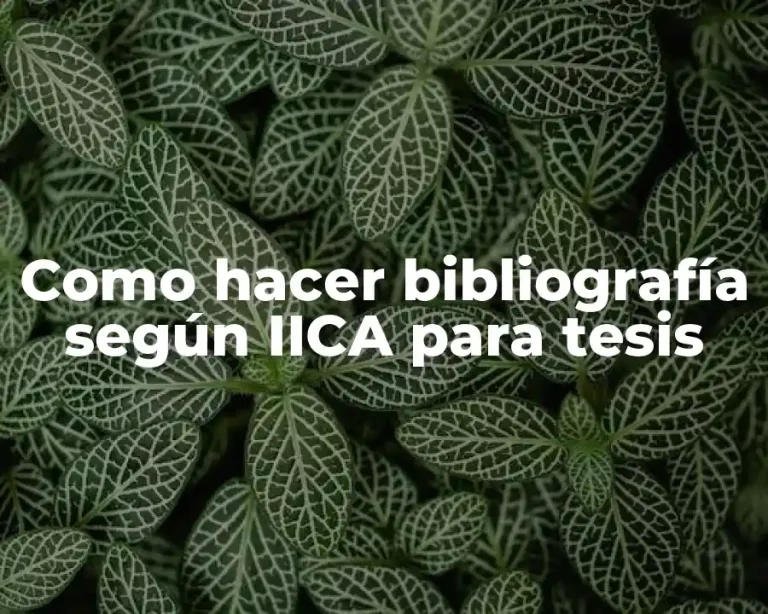 Como hacer bibliografía según IICA para tesis