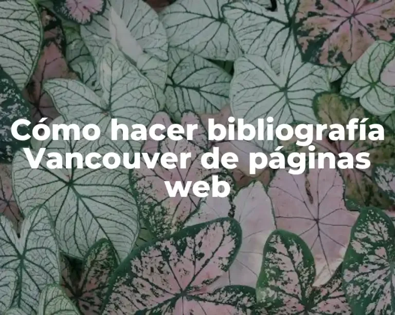 Cómo hacer bibliografía Vancouver de páginas web