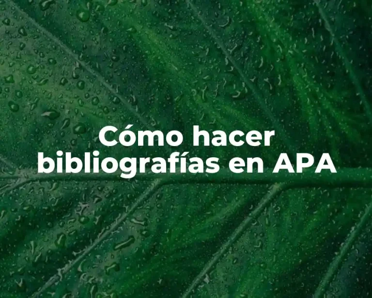 Cómo hacer bibliografías en APA