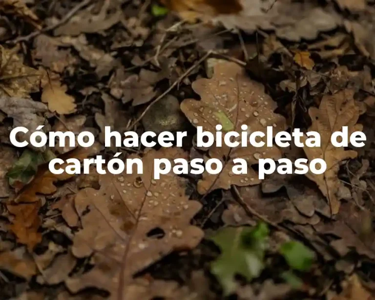 Cómo hacer bicicleta de cartón paso a paso