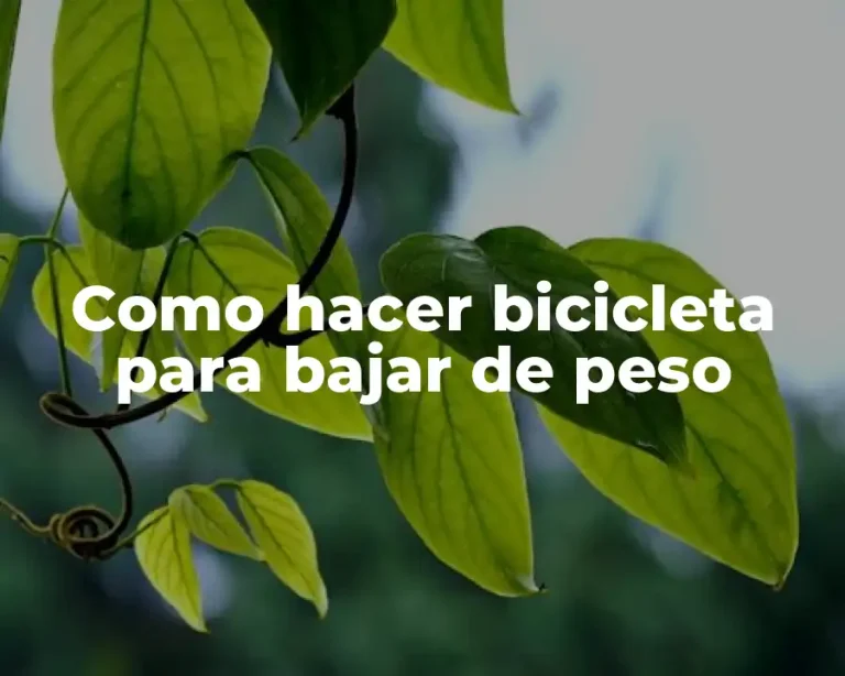 Como hacer bicicleta para bajar de peso
