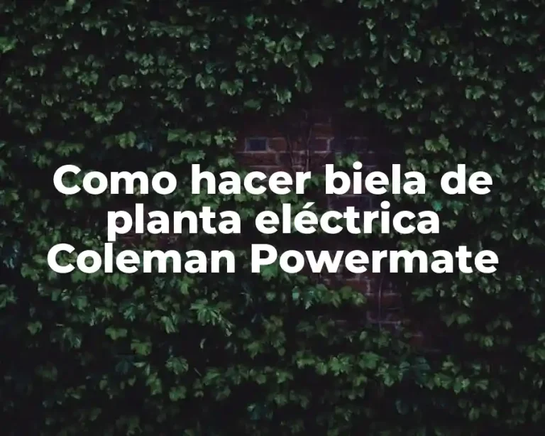 Como hacer biela de planta eléctrica Coleman Powermate