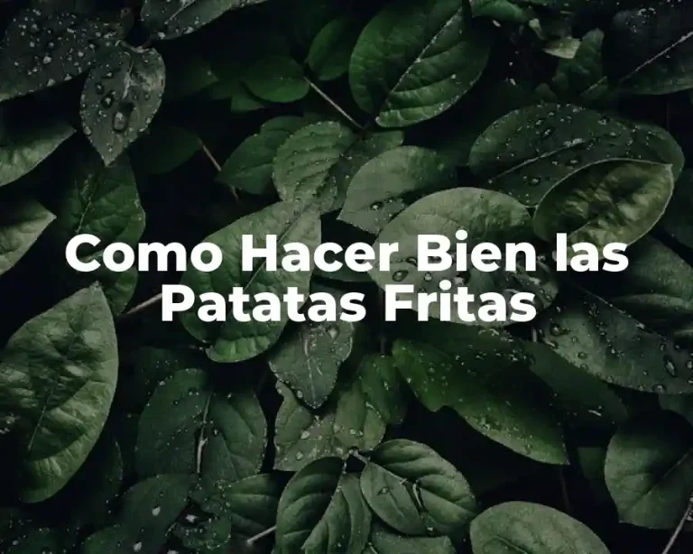 Como Hacer Bien las Patatas Fritas