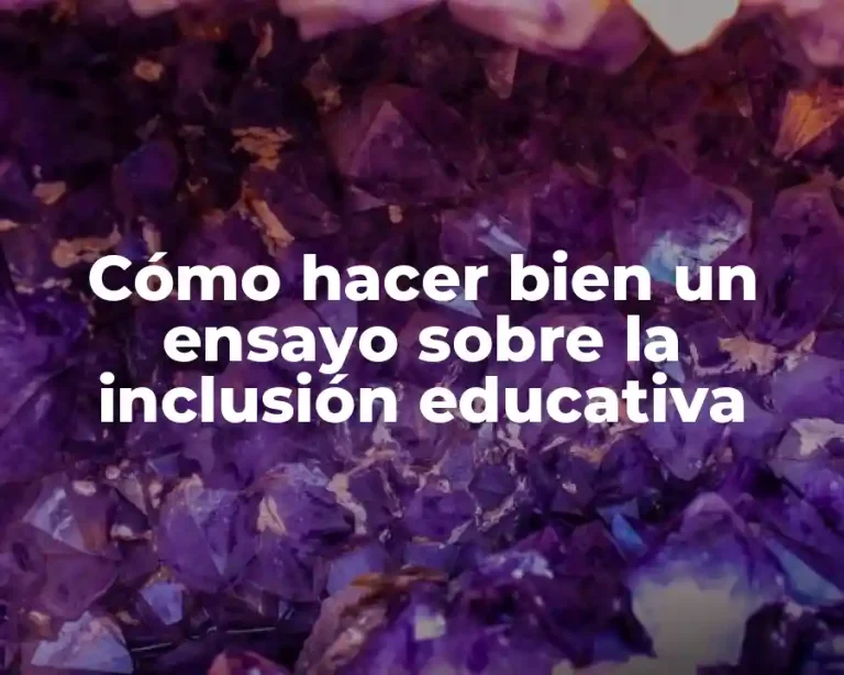Cómo hacer bien un ensayo sobre la inclusión educativa