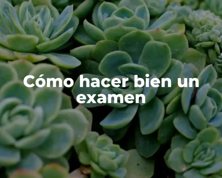 Cómo hacer bien un examen