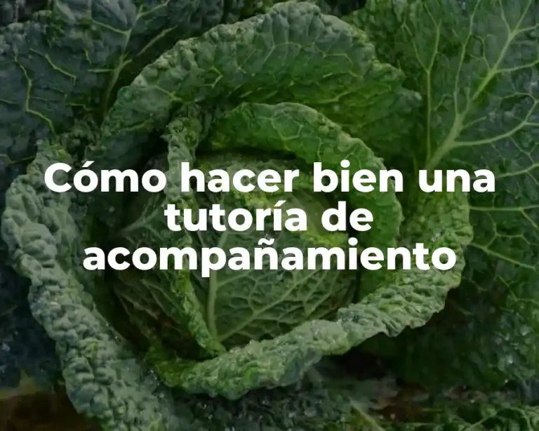 Cómo hacer bien una tutoría de acompañamiento