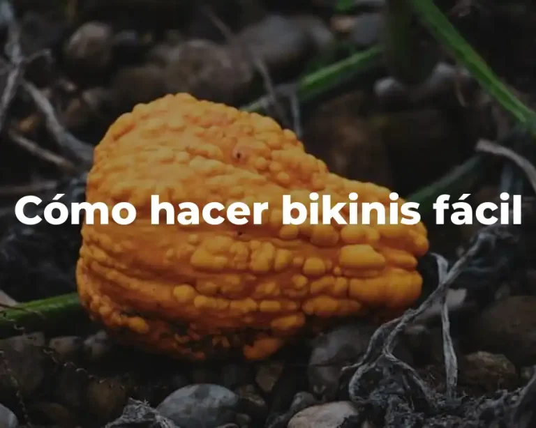 Cómo hacer bikinis fácil