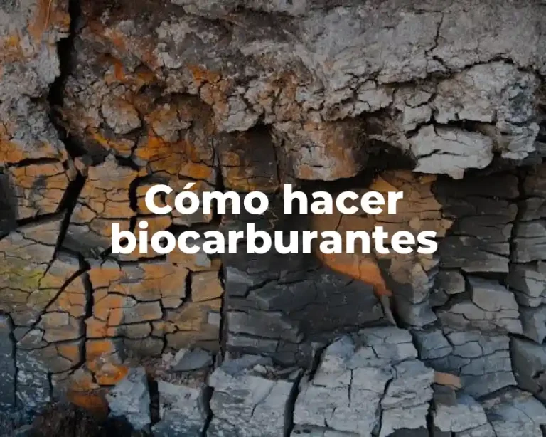 Cómo hacer biocarburantes