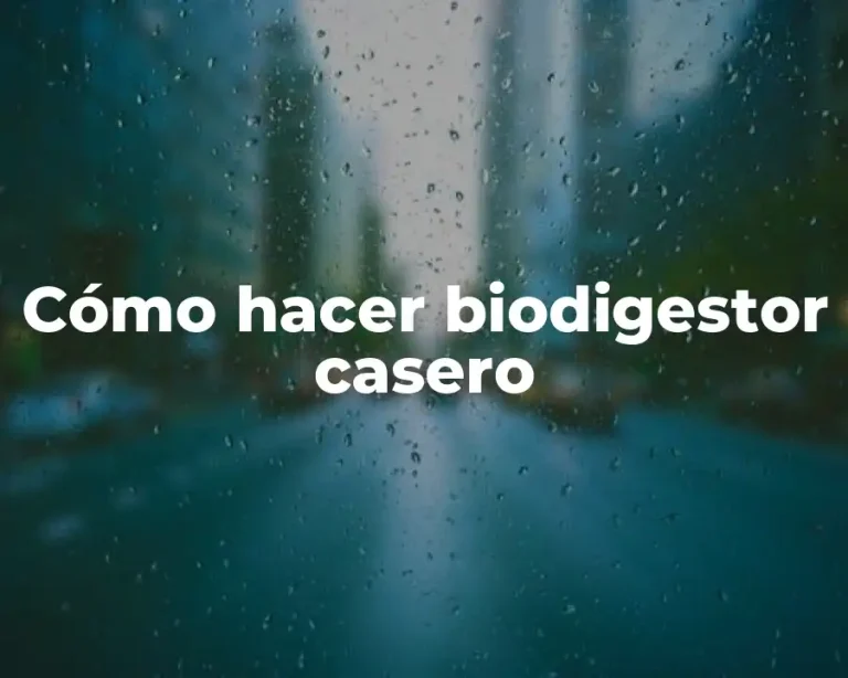 Cómo hacer biodigestor casero