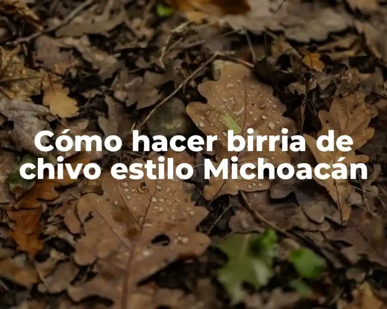 Cómo hacer birria de chivo estilo Michoacán