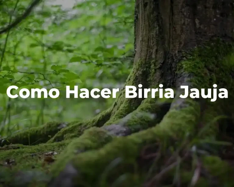 Como Hacer Birria Jauja