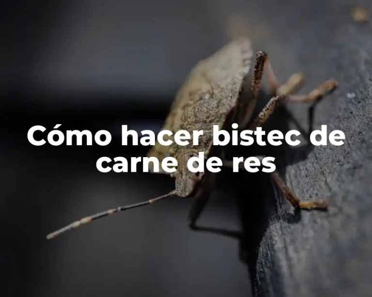 Cómo hacer bistec de carne de res