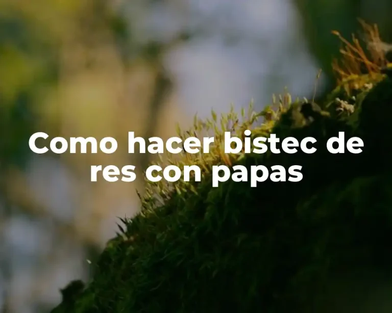 Como hacer bistec de res con papas