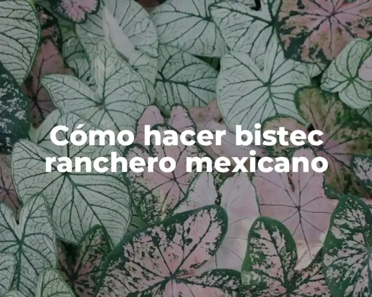 Cómo hacer bistec ranchero mexicano