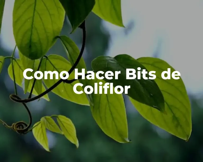 Como Hacer Bits de Coliflor