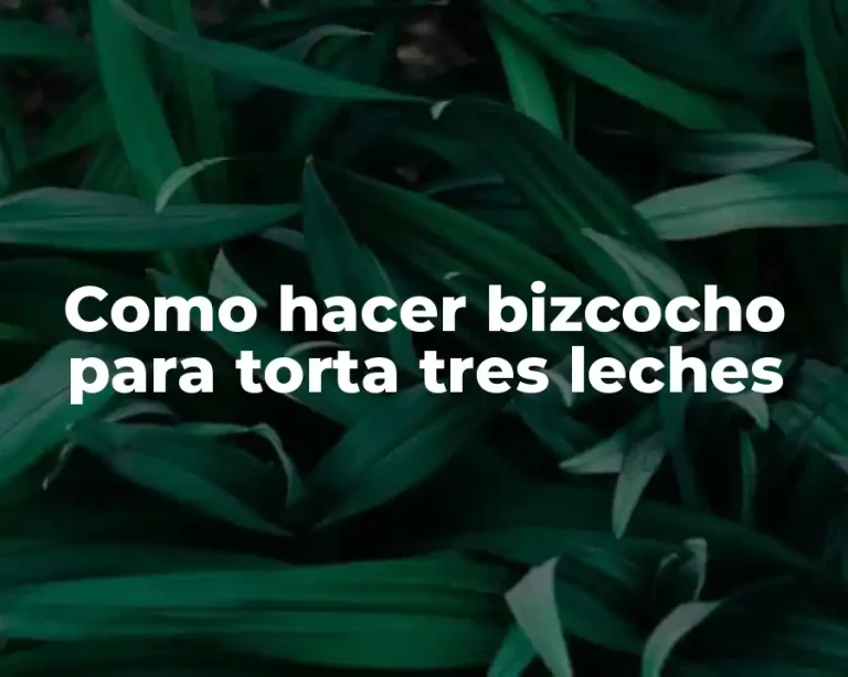 Como hacer bizcocho para torta tres leches