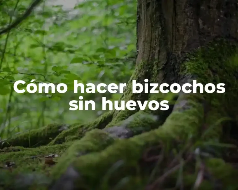 Cómo hacer bizcochos sin huevos