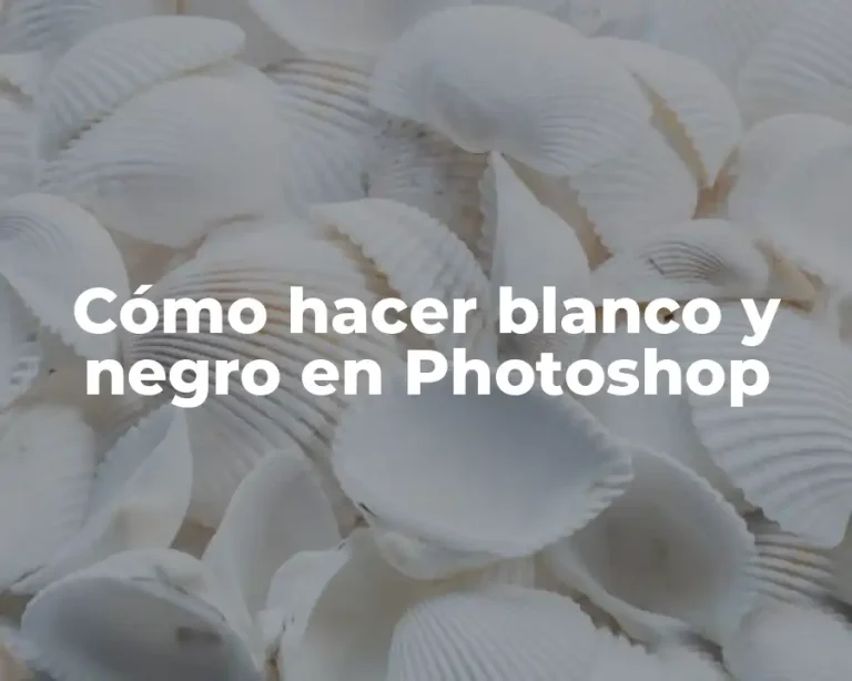 Cómo hacer blanco y negro en Photoshop