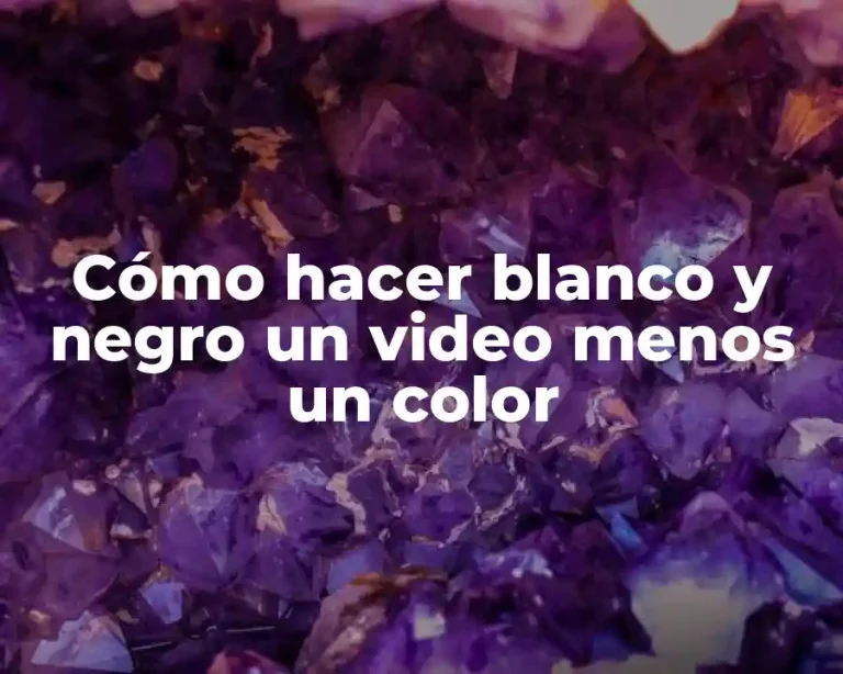 Cómo hacer blanco y negro un video menos un color