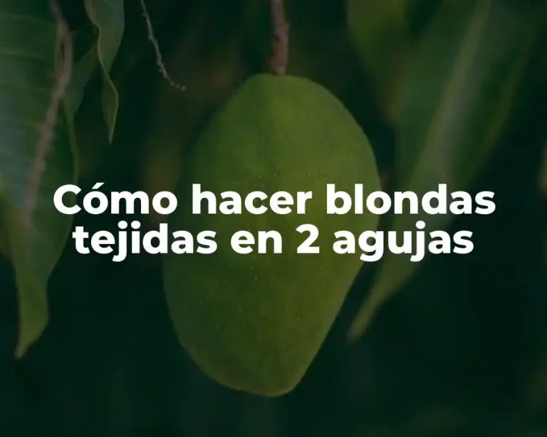 Cómo hacer blondas tejidas en 2 agujas