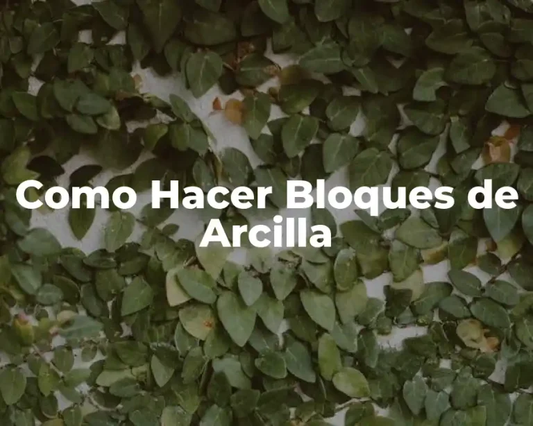 Como Hacer Bloques de Arcilla