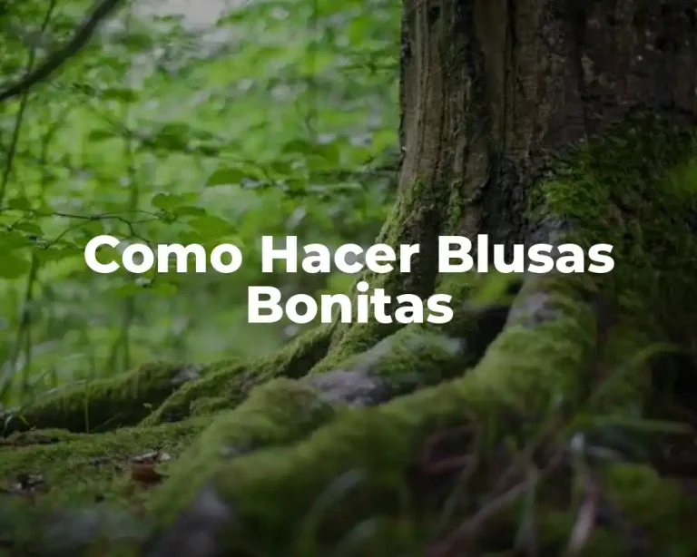 Como Hacer Blusas Bonitas