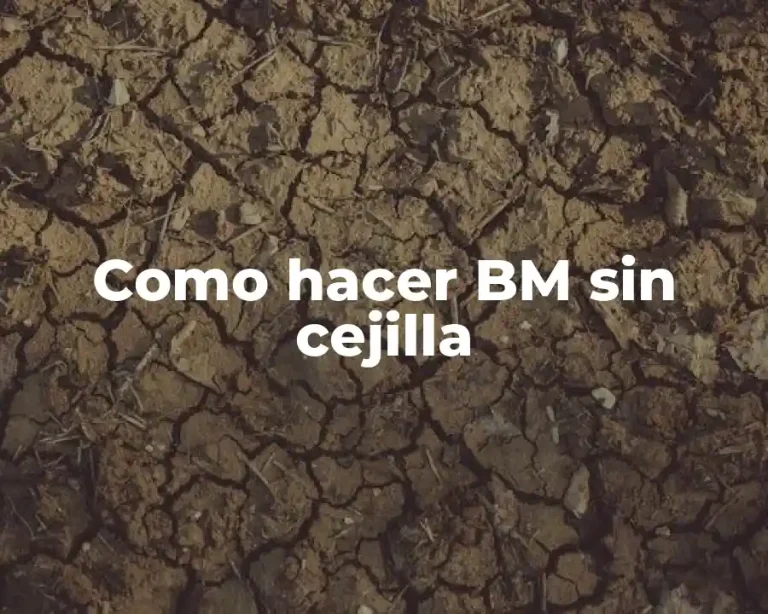 Como hacer BM sin cejilla