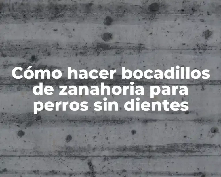 Cómo hacer bocadillos de zanahoria para perros sin dientes