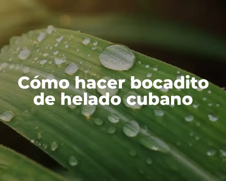 Cómo hacer bocadito de helado cubano