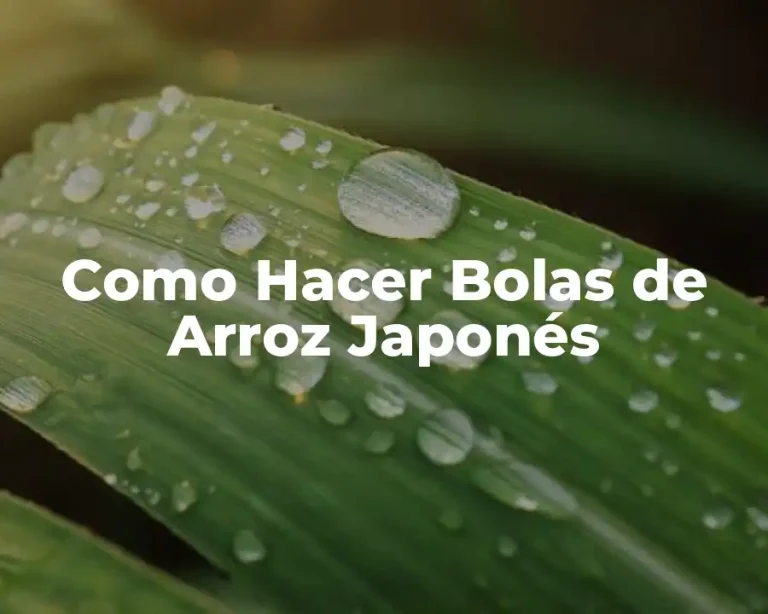 Como Hacer Bolas de Arroz Japonés