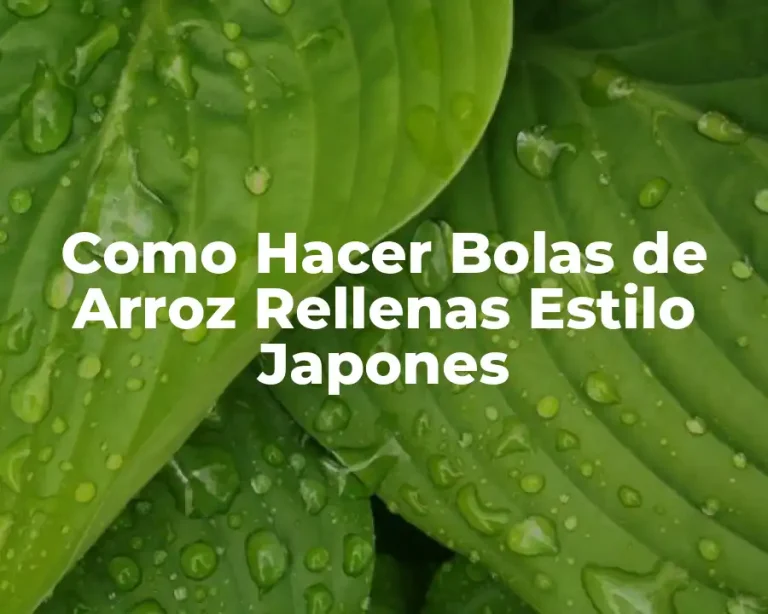 Como Hacer Bolas de Arroz Rellenas Estilo Japones