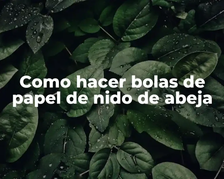 Como hacer bolas de papel de nido de abeja