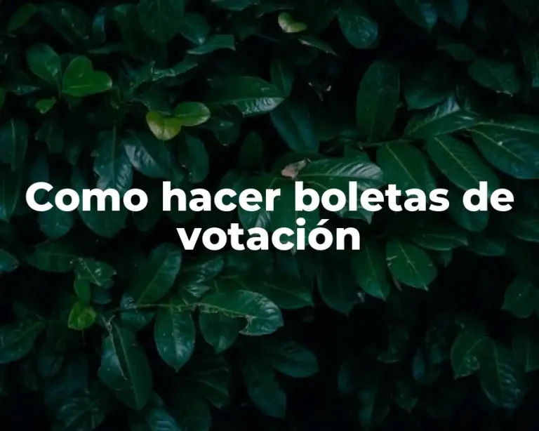 Como hacer boletas de votación