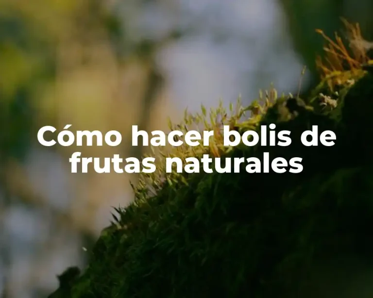 Cómo hacer bolis de frutas naturales