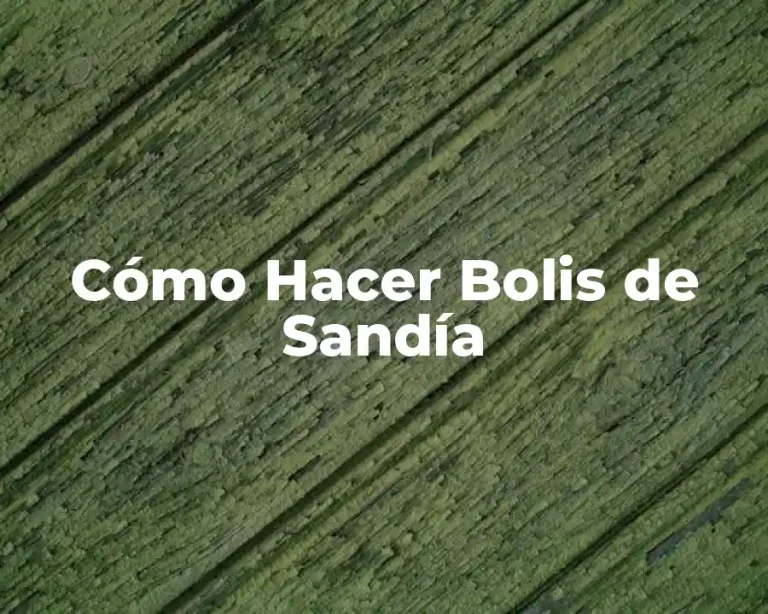 Cómo Hacer Bolis de Sandía