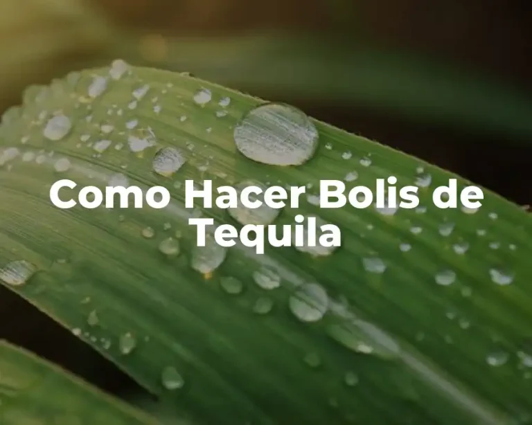 Como Hacer Bolis de Tequila