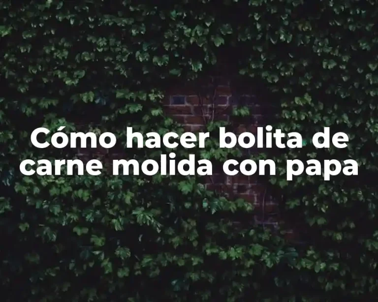 Cómo hacer bolita de carne molida con papa
