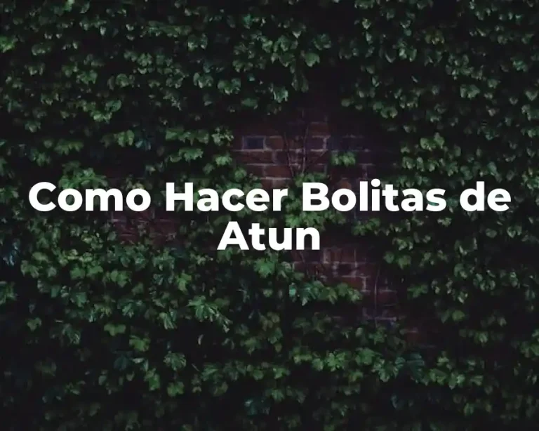 Como Hacer Bolitas de Atun